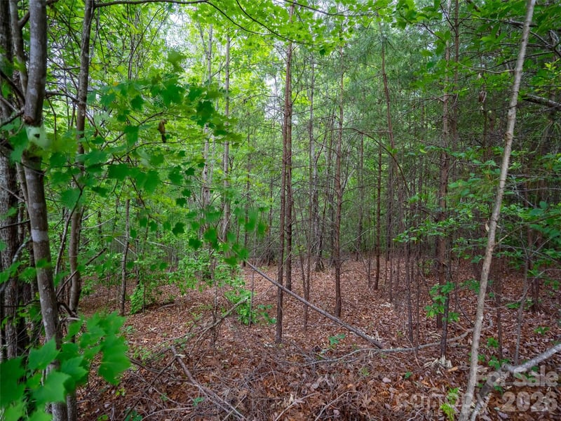 LOT 2009 Deep Gap Farm Rd, Mill Spring, NC 28756