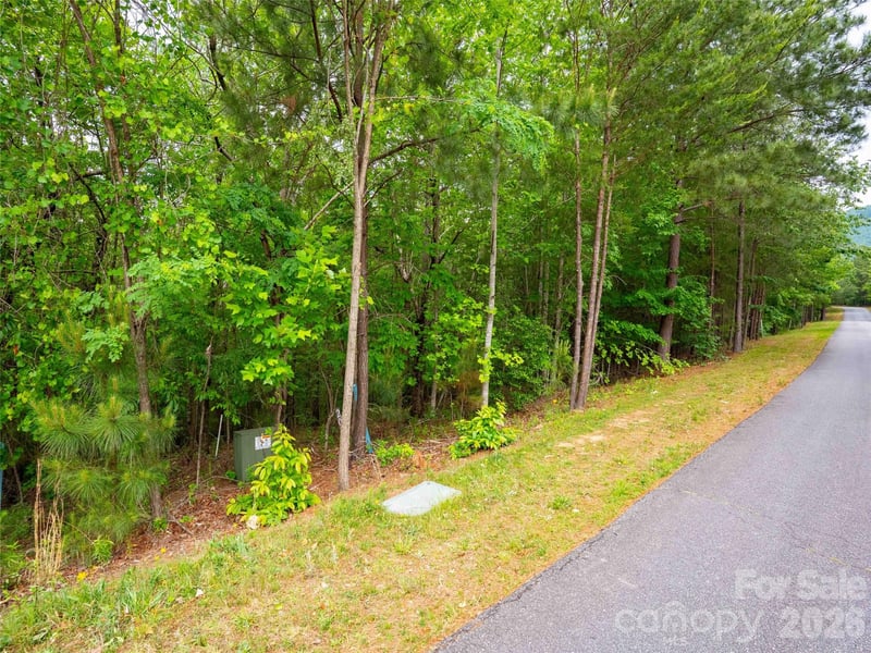 LOT 2009 Deep Gap Farm Rd, Mill Spring, NC 28756