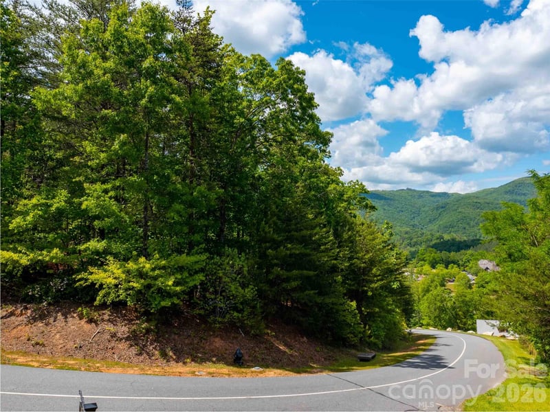 LOT 2012 Deep Gap Farm Rd, Mill Spring, NC 28756