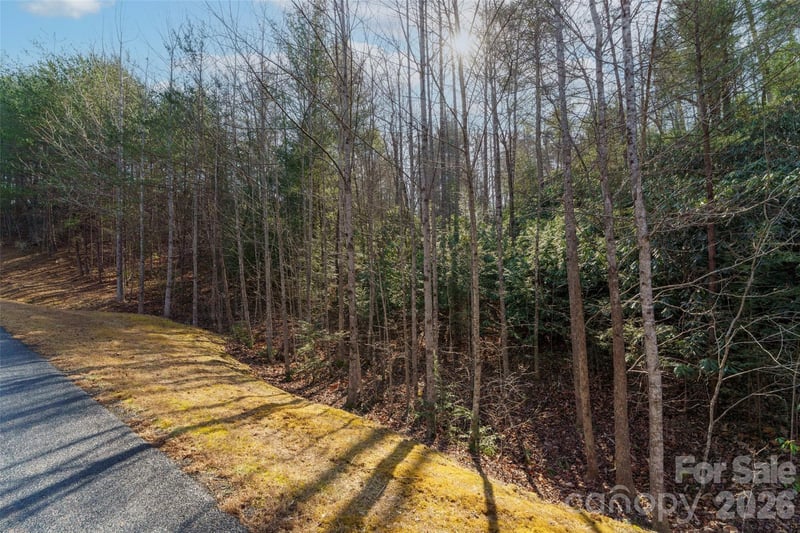265 Harborside Dr #250, Nebo, NC 28761