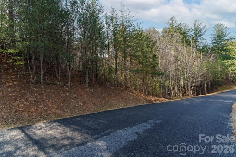 265 Harborside Dr #250, Nebo, NC 28761