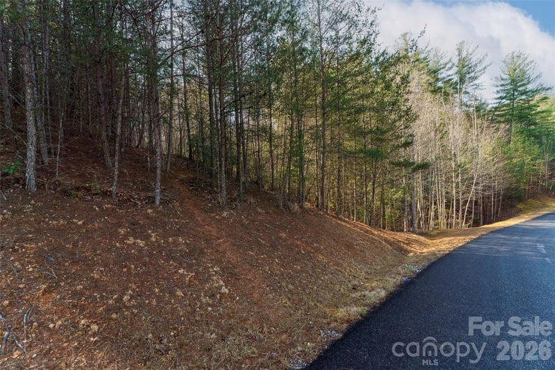 265 Harborside Dr #250, Nebo, NC 28761