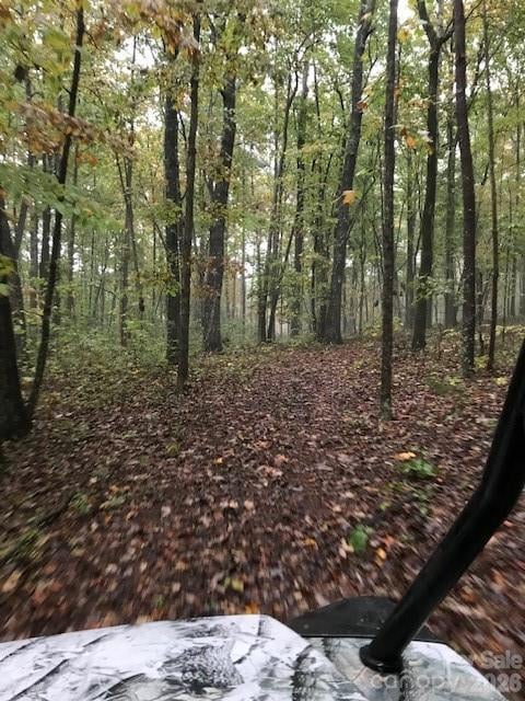 9999 Little Creek Dr, Nebo, NC 28761