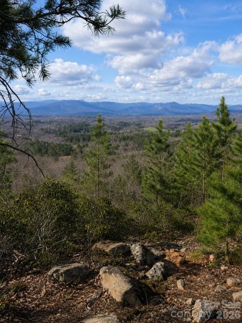 9999 Little Creek Dr, Nebo, NC 28761