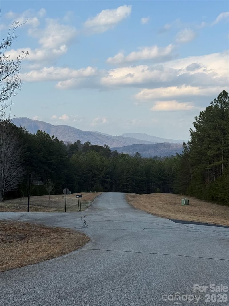 109 Spring Hollow Rd, Mill Spring, NC 28756