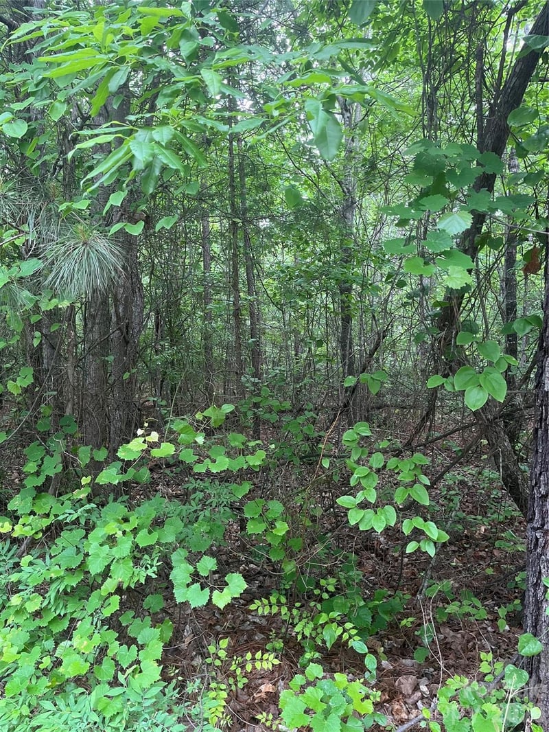 2426 Ore Bank Rd, Smyrna, SC 29743