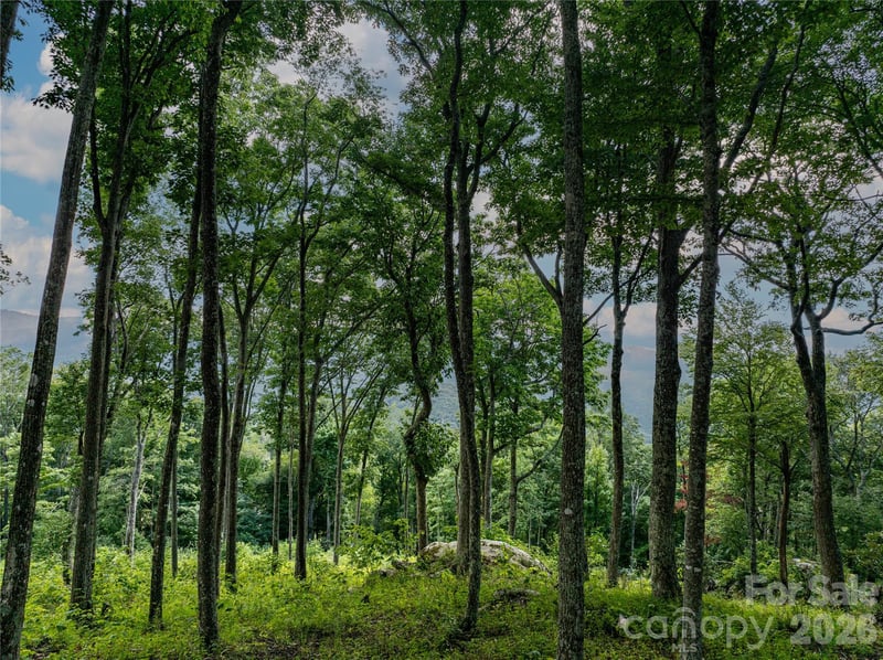 G30 Lodge Woods Trl, Banner Elk, NC 28604