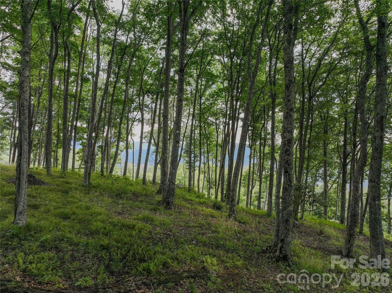 G30 Lodge Woods Trl, Banner Elk, NC 28604