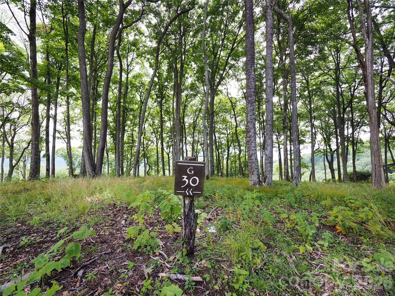 G30 Lodge Woods Trl, Banner Elk, NC 28604