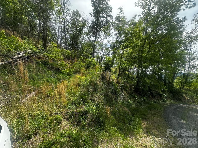 00 John Sparks Rd, Bakersville, NC 28705