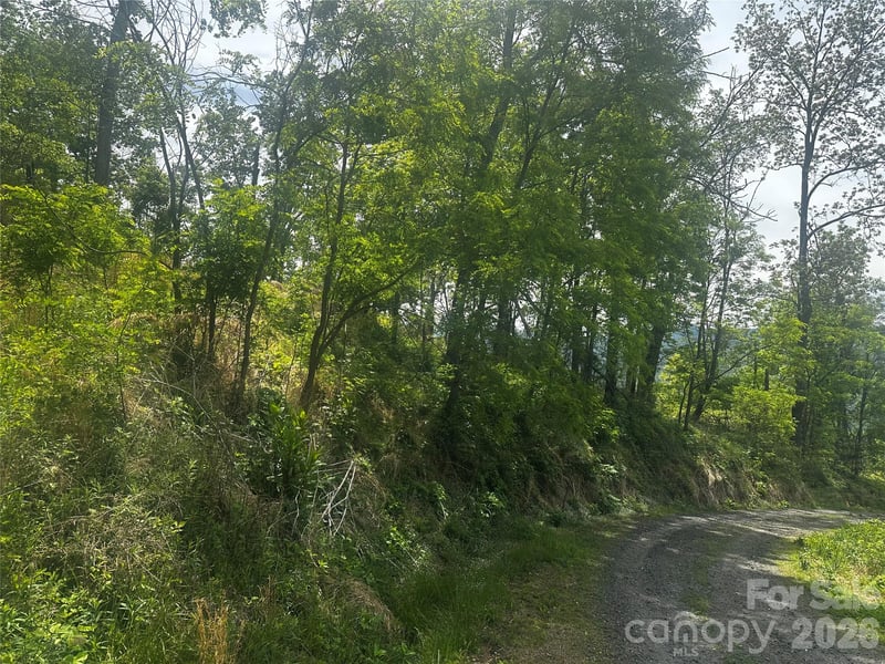 00 John Sparks Rd, Bakersville, NC 28705