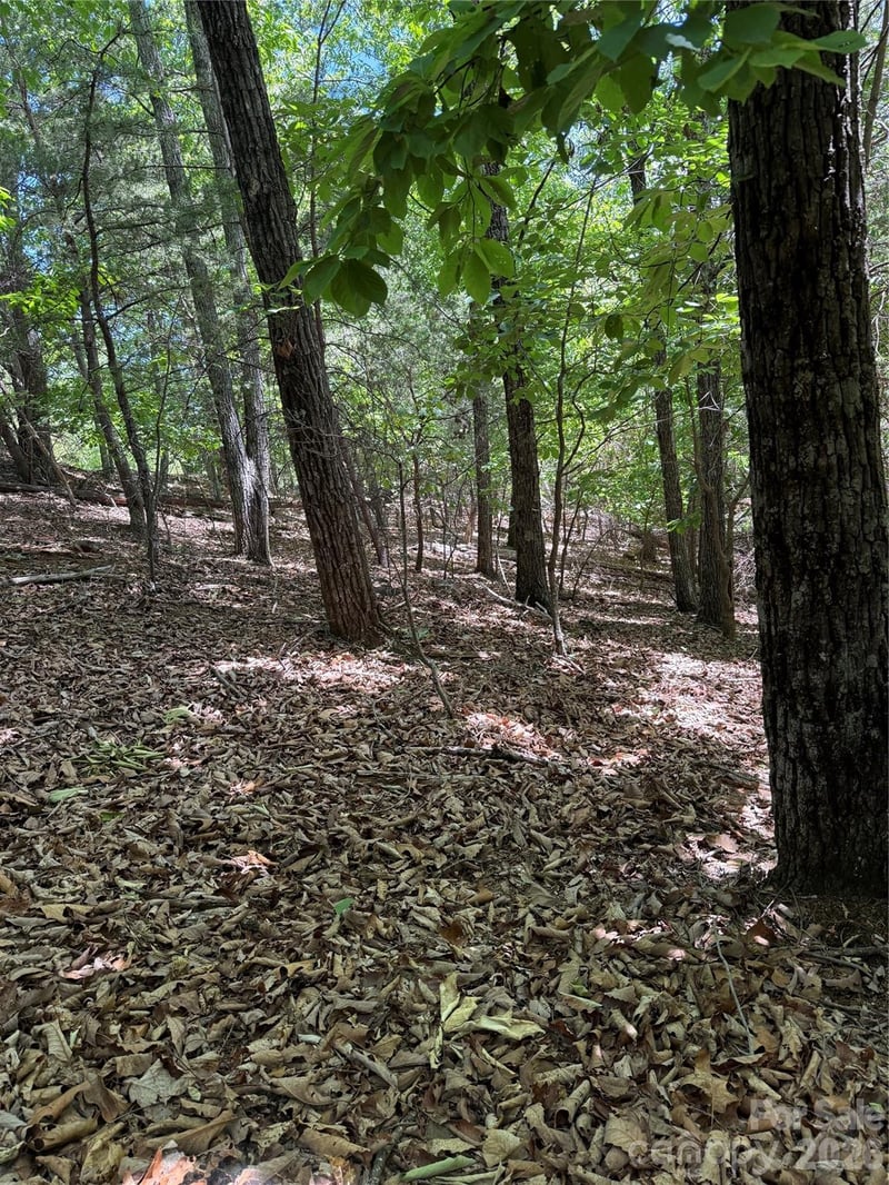 85 Adirondack Ln #85, Bostic, NC 28018