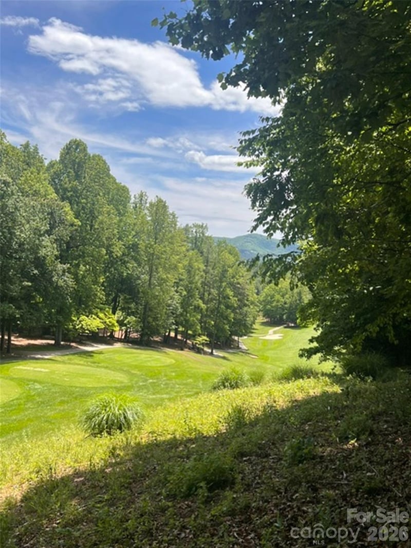 115 Bobby Jones Dr #45, Hendersonville, NC 28739