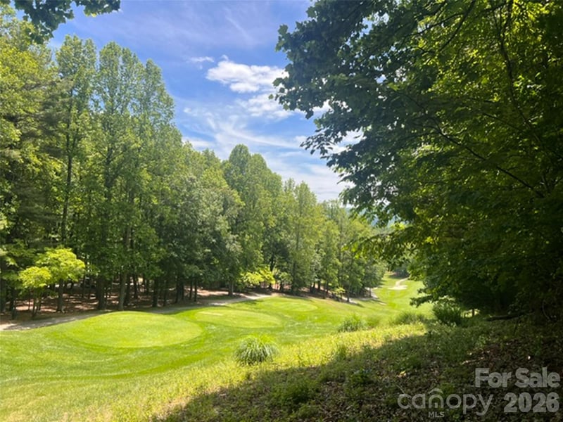 115 Bobby Jones Dr #45, Hendersonville, NC 28739