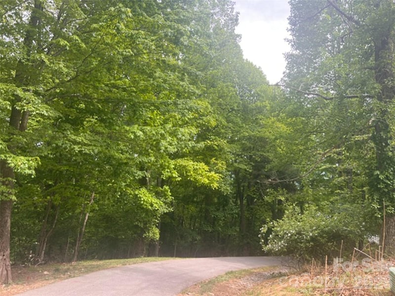 115 Bobby Jones Dr #45, Hendersonville, NC 28739