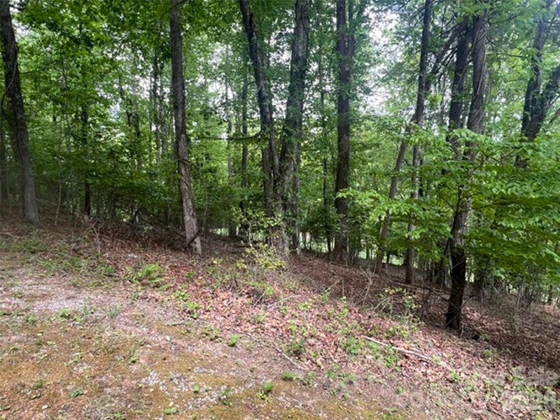 115 Bobby Jones Dr #45, Hendersonville, NC 28739