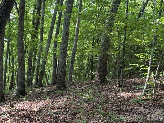 000 Gettys Rd, Ellenboro, NC 28040