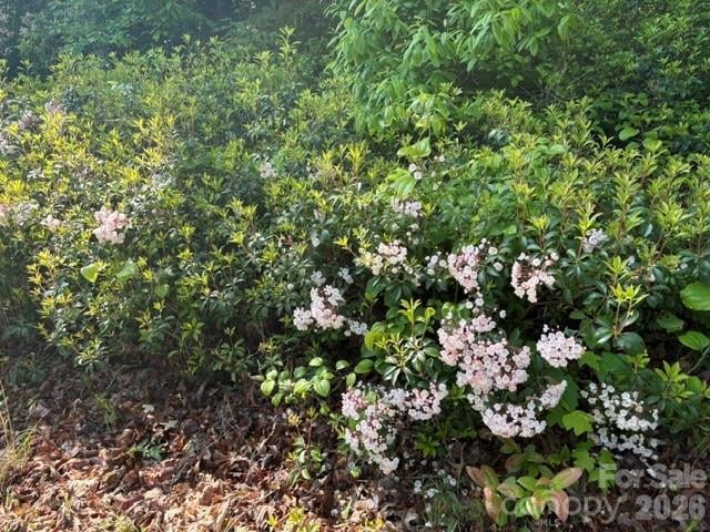000 Gettys Rd, Ellenboro, NC 28040