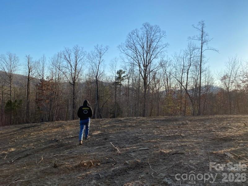 Osprey Ln, Nebo, NC 28761