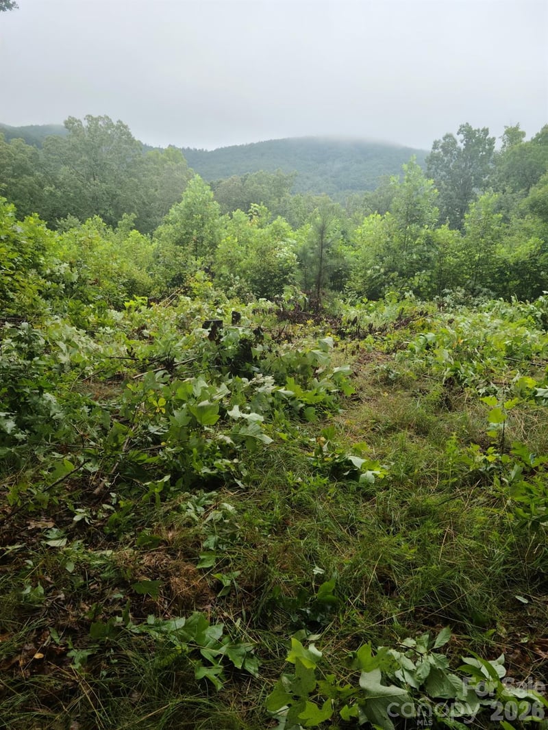 Osprey Ln, Nebo, NC 28761