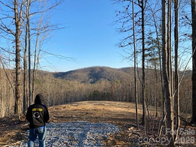 Osprey Ln, Nebo, NC 28761