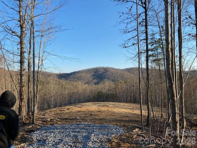 Osprey Ln, Nebo, NC 28761