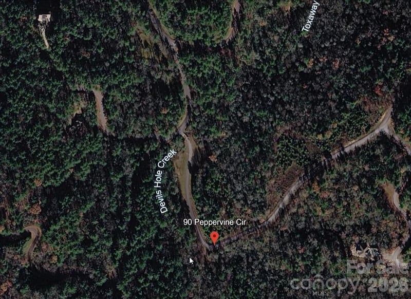 Lot 90 Peppervine Cir #90, Rosman, NC 28712