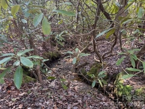 99999 Laura Brooke Dr, Penrose, NC 28766