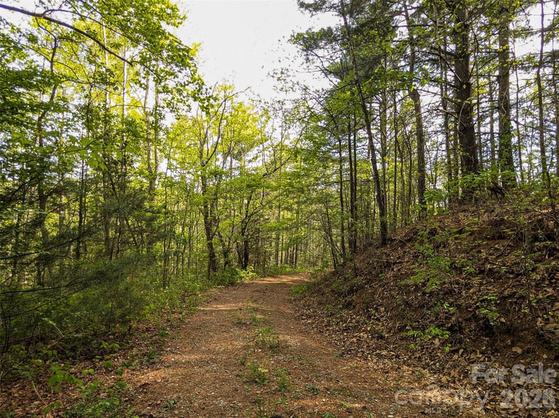 99999 Weldon Way, Fairview, NC 28730
