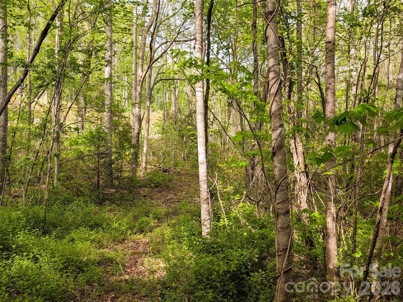 99999 Weldon Way, Fairview, NC 28730