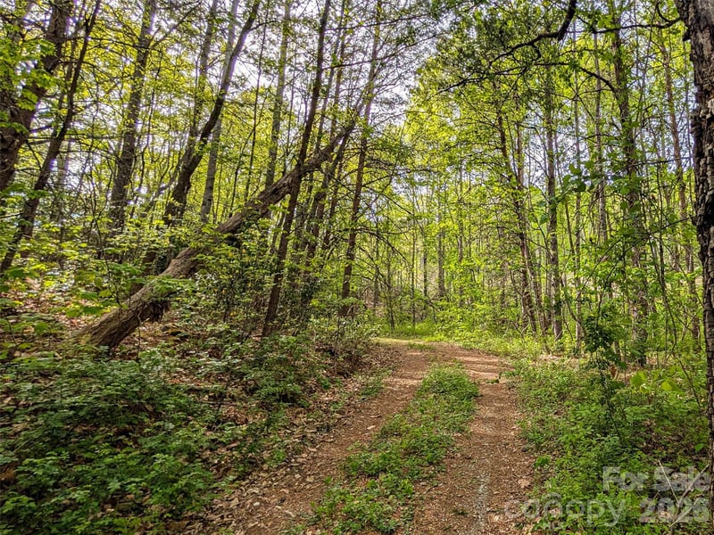 99999 Weldon Way, Fairview, NC 28730