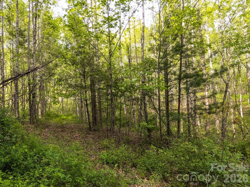 99999 Weldon Way, Fairview, NC 28730