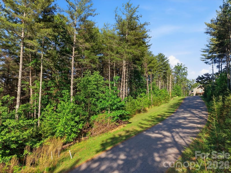 VL Clear Water Way #95, Nebo, NC 28761
