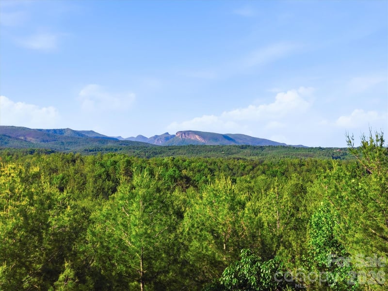 VL Clear Water Way #95, Nebo, NC 28761