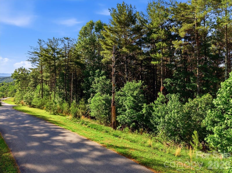 VL Clear Water Way #95, Nebo, NC 28761