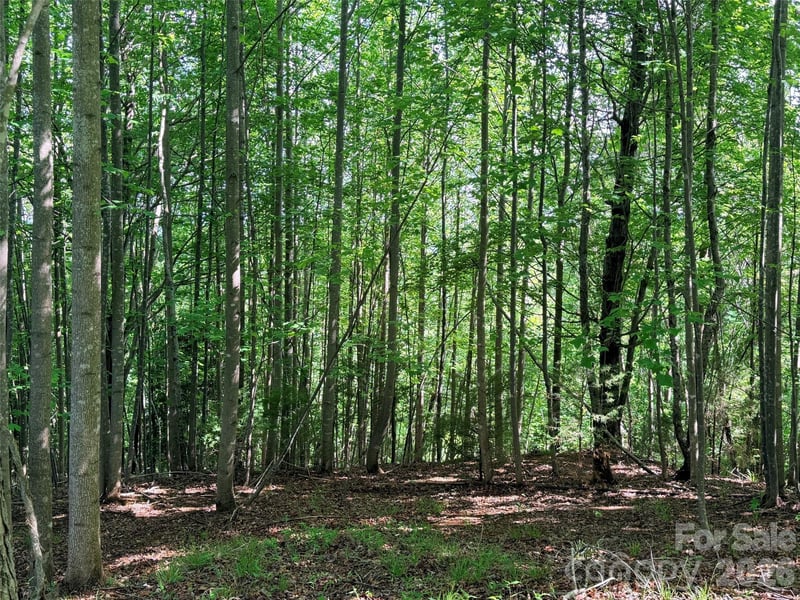 Lot 8 High Rock Rg, Lake Lure, NC 28746