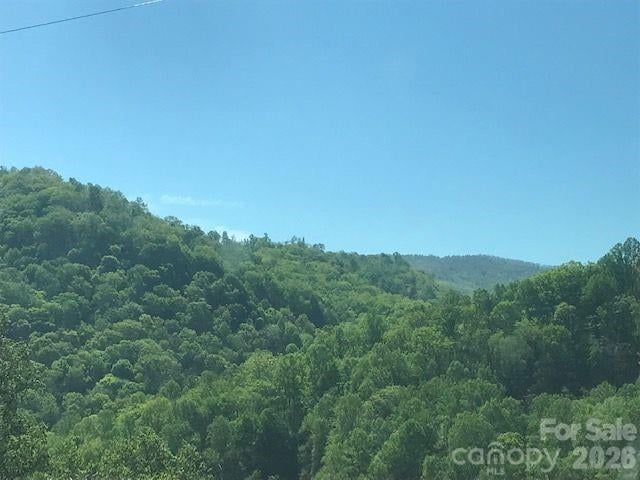 00 Charleston Harbor Dr #11, Saluda, NC 28773
