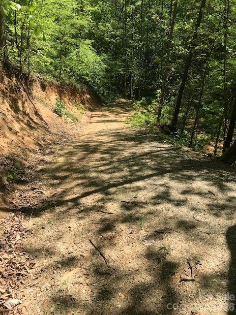 00 Charleston Harbor Dr #11, Saluda, NC 28773