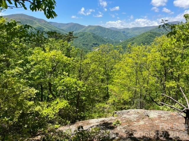00000 Soco Rd, Maggie Valley, NC 28751