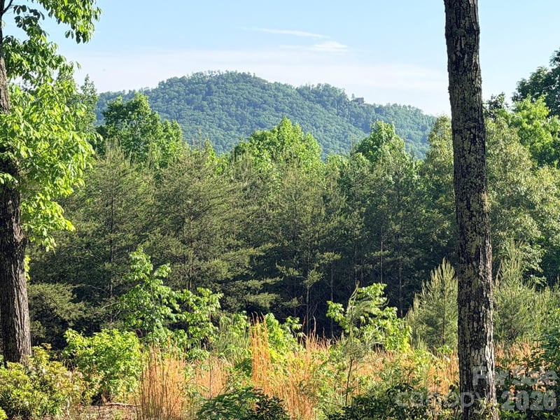 Lot 11 Brookside Pw, Lake Lure, NC 28746