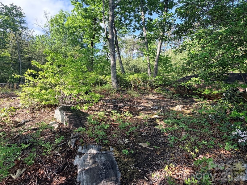 Lot 11 Brookside Pw, Lake Lure, NC 28746