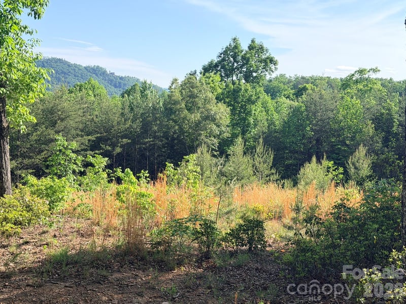 Lot 11 Brookside Pw, Lake Lure, NC 28746
