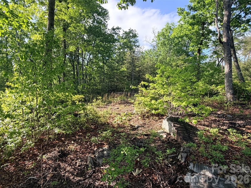 Lot 11 Brookside Pw, Lake Lure, NC 28746
