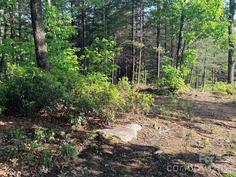 Lot 11 Brookside Pw, Lake Lure, NC 28746