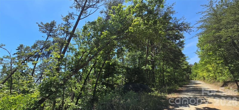Lot 7 Pinnacle Pw, Union Mills, NC 28167