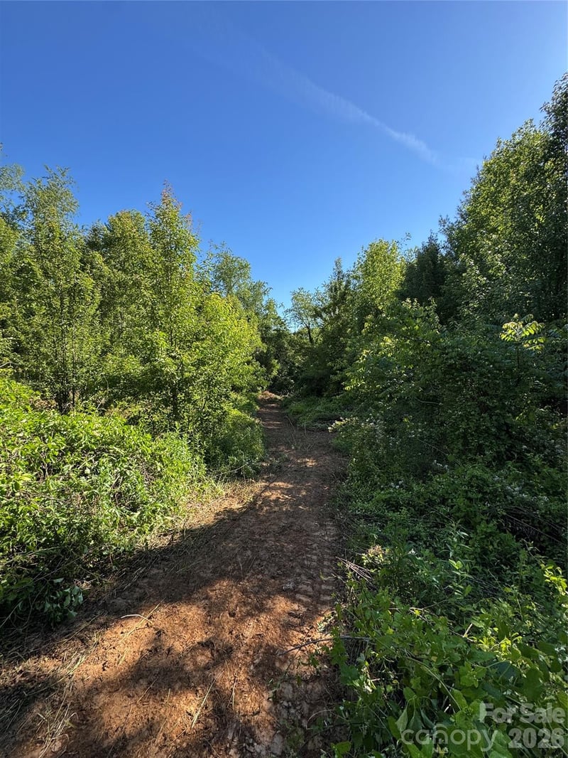 TBD Duckett Rd, Candler, NC 28715