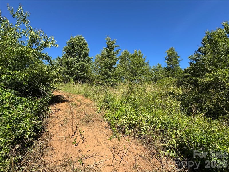 TBD Duckett Rd, Candler, NC 28715