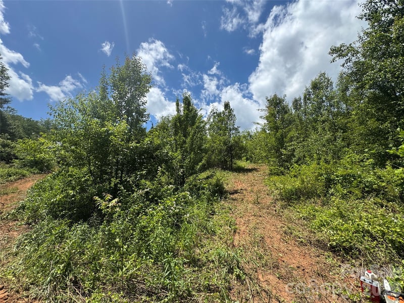 TBD Duckett Rd, Candler, NC 28715