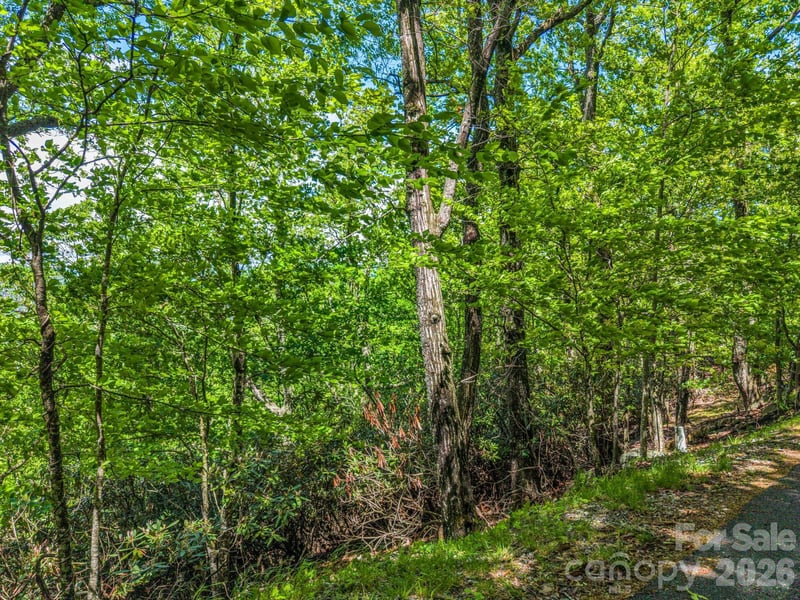 99999 Laurel Dr #27, 28, 29, Mills River, NC 28759