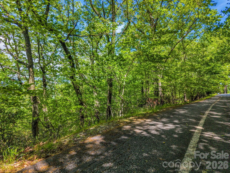 99999 Laurel Dr #27, 28, 29, Mills River, NC 28759
